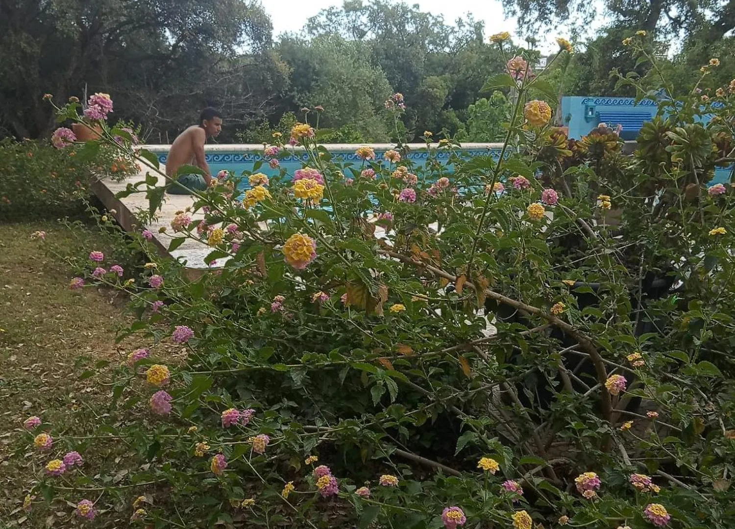 Sotogrande. Estancia Privada En Plena Naturaleza Villa